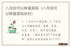 八月份可以种菠菜吗农村 八月份可以种菠菜吗