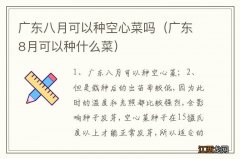 广东8月可以种什么菜 广东八月可以种空心菜吗