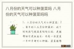 八月份的天气可以种菠菜吗 八月份的天气可以种菠菜吗吗