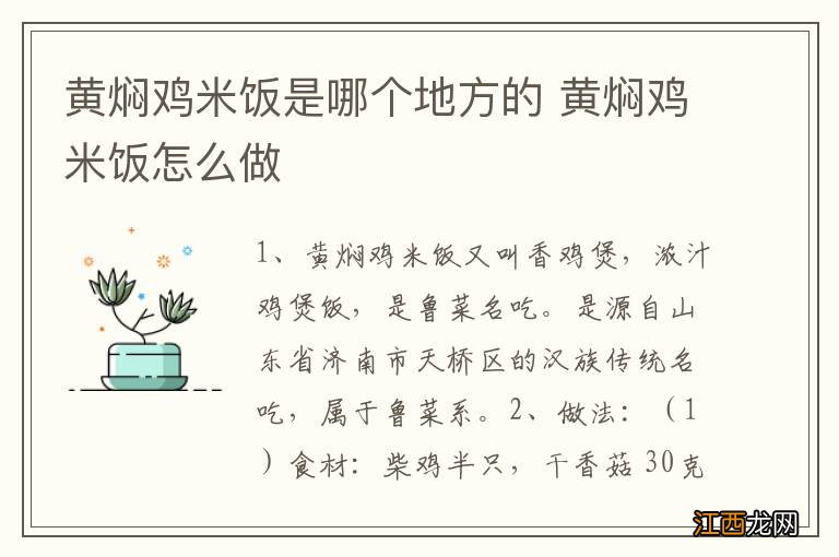 黄焖鸡米饭是哪个地方的 黄焖鸡米饭怎么做