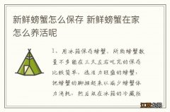 新鲜螃蟹怎么保存 新鲜螃蟹在家怎么养活呢