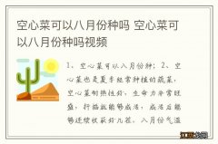 空心菜可以八月份种吗 空心菜可以八月份种吗视频