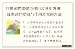 红参须的功效与作用及食用方法 红参须的功效与作用及食用方法有哪些