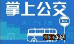 芜湖掌上公交app怎么下载不了 芜湖掌上公交app怎么下载