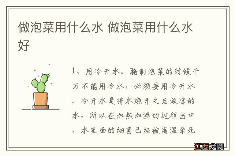 做泡菜用什么水 做泡菜用什么水好