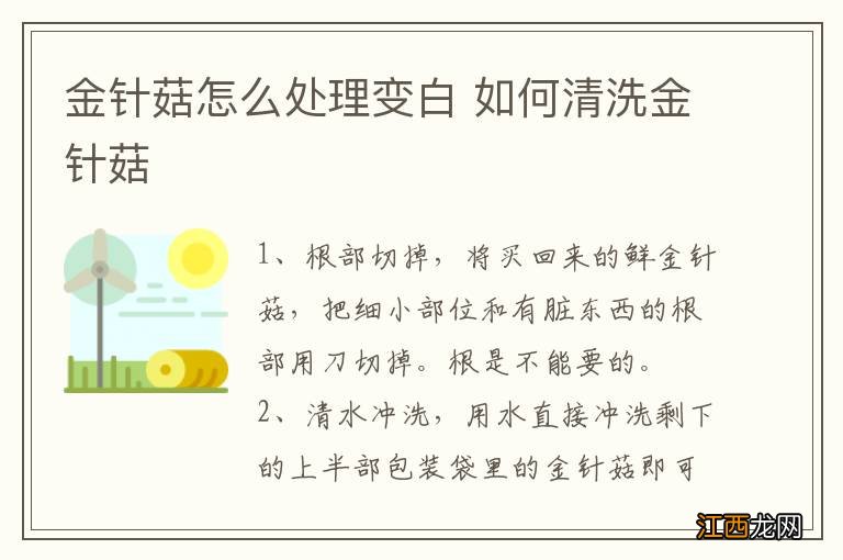 金针菇怎么处理变白 如何清洗金针菇