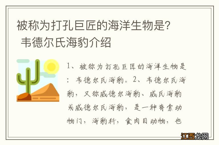 被称为打孔巨匠的海洋生物是？ 韦德尔氏海豹介绍