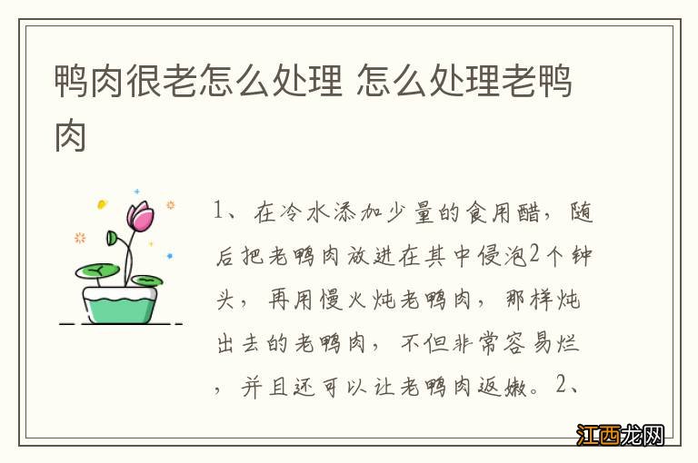 鸭肉很老怎么处理 怎么处理老鸭肉