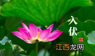 三伏是几天 三伏介绍