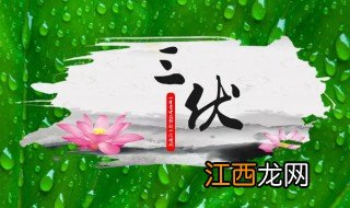 三伏是哪三伏 三伏介绍