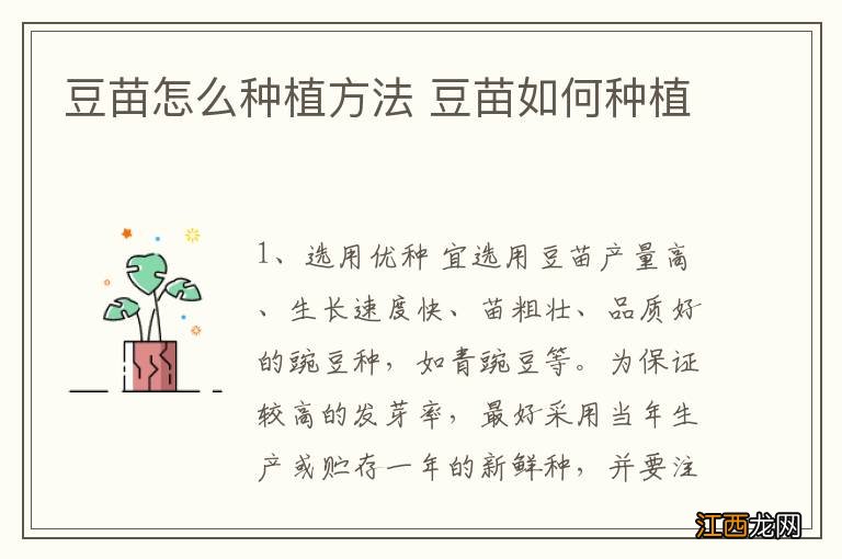 豆苗怎么种植方法 豆苗如何种植