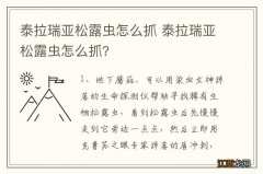 泰拉瑞亚松露虫怎么抓 泰拉瑞亚松露虫怎么抓?