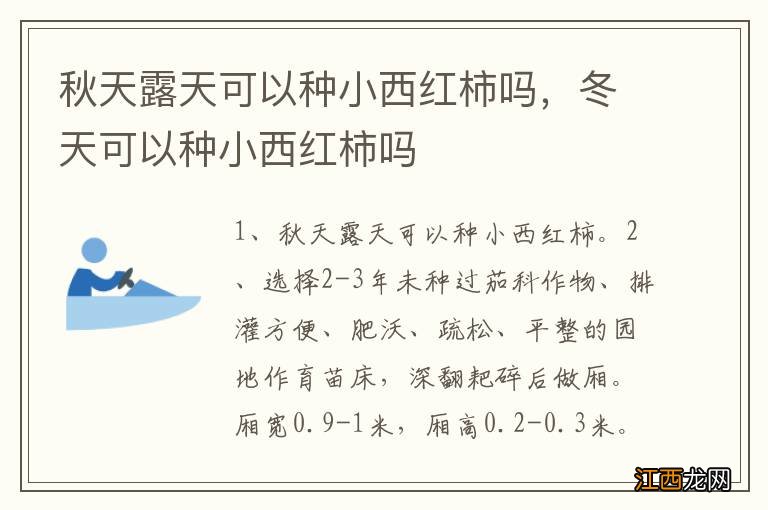 秋天露天可以种小西红柿吗，冬天可以种小西红柿吗