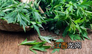 艾草在端午节的作用 艾草在端午节有什么用处呢