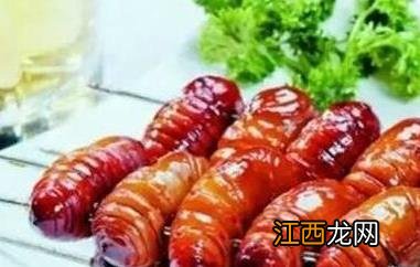 蚕蛹怎么吃 蚕蛹的食用方法