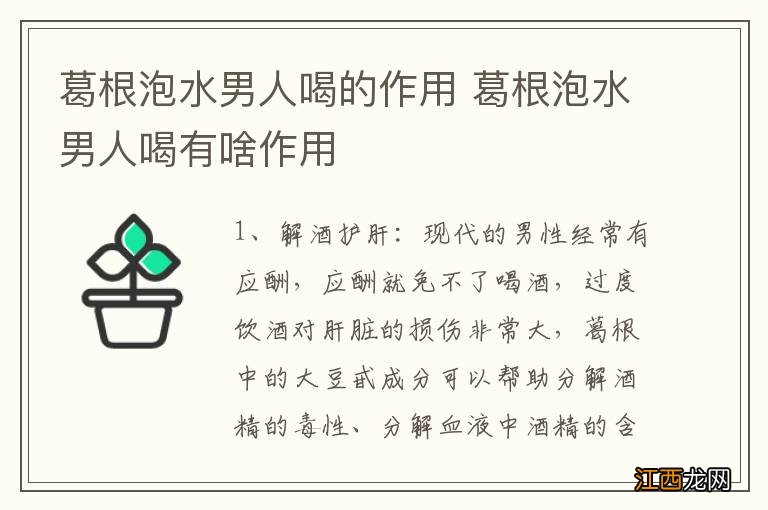 葛根泡水男人喝的作用 葛根泡水男人喝有啥作用