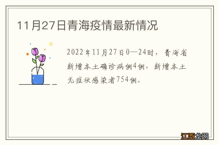 11月27日青海疫情最新情况