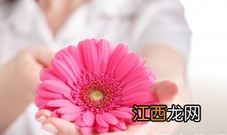 锥切是什么意思啊? 锥切是什么意思