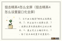 狙击精英4怎么设置窗口化全屏 狙击精英4怎么全屏