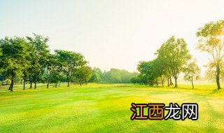 空气污染危害 空气污染有什么危害吗