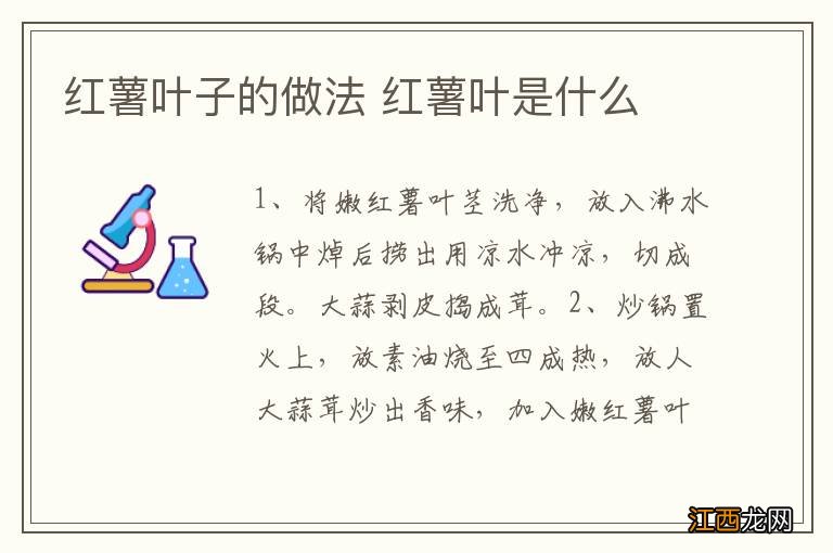 红薯叶子的做法 红薯叶是什么