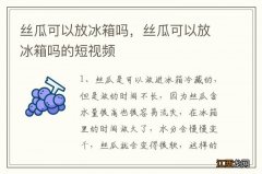 丝瓜可以放冰箱吗，丝瓜可以放冰箱吗的短视频