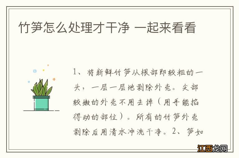 竹笋怎么处理才干净 一起来看看