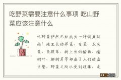 吃野菜需要注意什么事项 吃山野菜应该注意什么