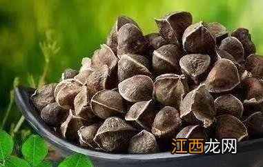 辣木籽怎么吃 辣木籽的食用方法