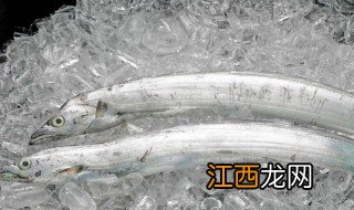 夏季怎么挑选带鱼 这些标准很重要