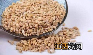 炒麦芽回奶怎么吃 怎么吃炒麦芽才能回奶