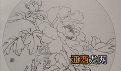 白描牡丹简单 入门 白描牡丹的画法步骤