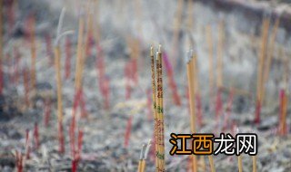 中元节可以吃甲鱼吗 春节可以吃甲鱼吗