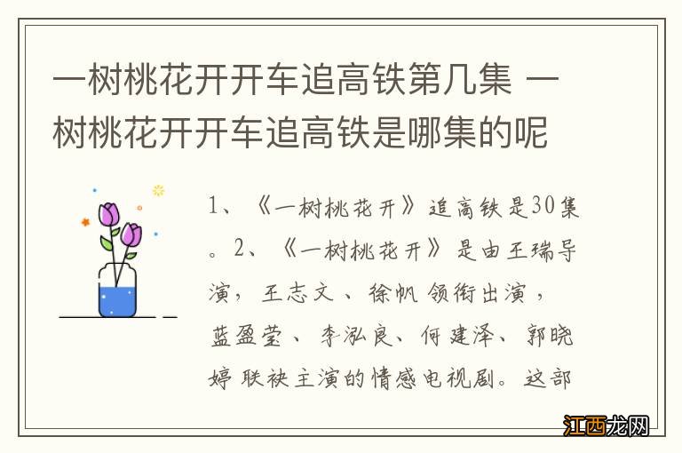 一树桃花开开车追高铁第几集 一树桃花开开车追高铁是哪集的呢