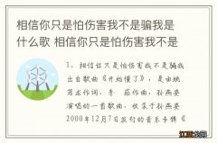 相信你只是怕伤害我不是骗我是什么歌 相信你只是怕伤害我不是骗我歌曲介绍