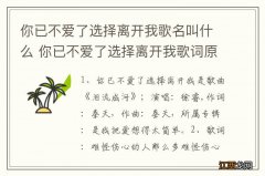 你已不爱了选择离开我歌名叫什么 你已不爱了选择离开我歌词原文