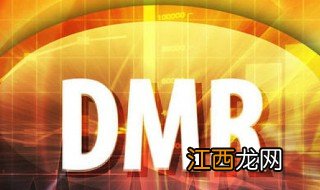 绝地求生dmr是什么意思 dmr是什么意思