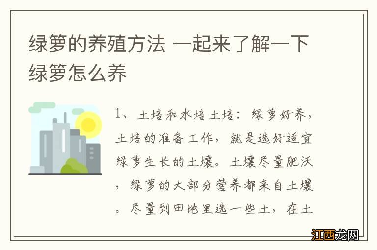 绿箩的养殖方法 一起来了解一下绿箩怎么养