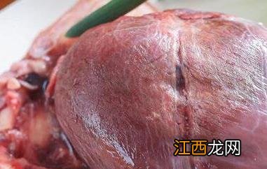 鹿心的功效与作用 吃鹿心的好处