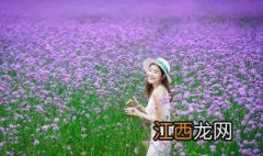 花海怎么拍照好看 花海怎么拍照