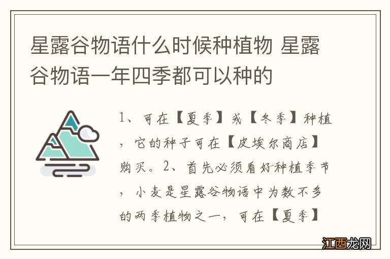 星露谷物语什么时候种植物 星露谷物语一年四季都可以种的