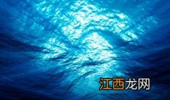 海洋深处有什么生物 海洋深处有什么