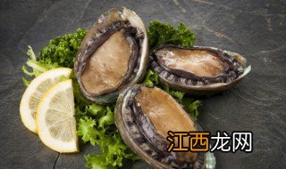 鲍鱼的家常做法大全 鲍鱼的家常烹饪方法