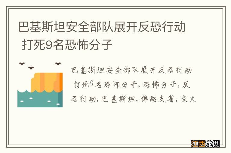 巴基斯坦安全部队展开反恐行动 打死9名恐怖分子