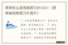 原神抽到枫原万叶图片 原神怎么获得枫原万叶2021