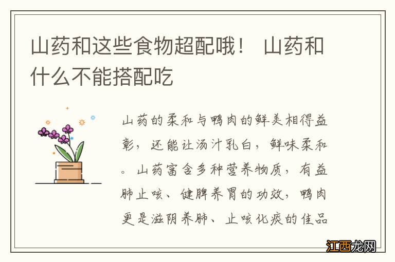 山药和这些食物超配哦! 山药和什么不能搭配吃