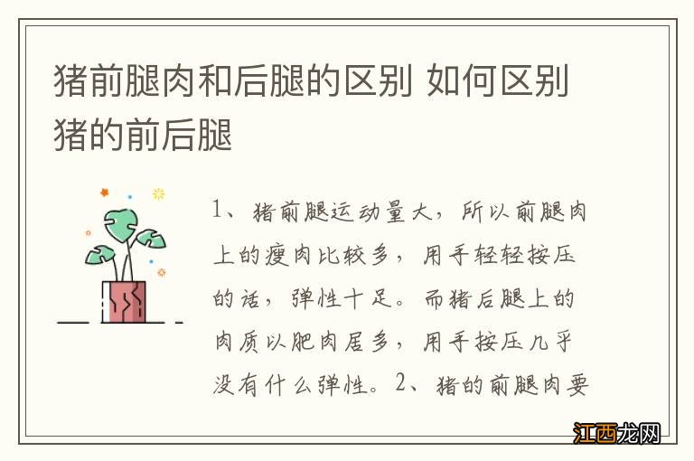 猪前腿肉和后腿的区别 如何区别猪的前后腿