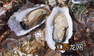 牡蛎怎么做好吃 牡蛎的简单做法