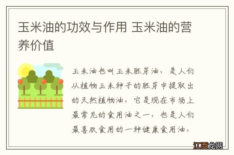 玉米油的功效与作用 玉米油的营养价值
