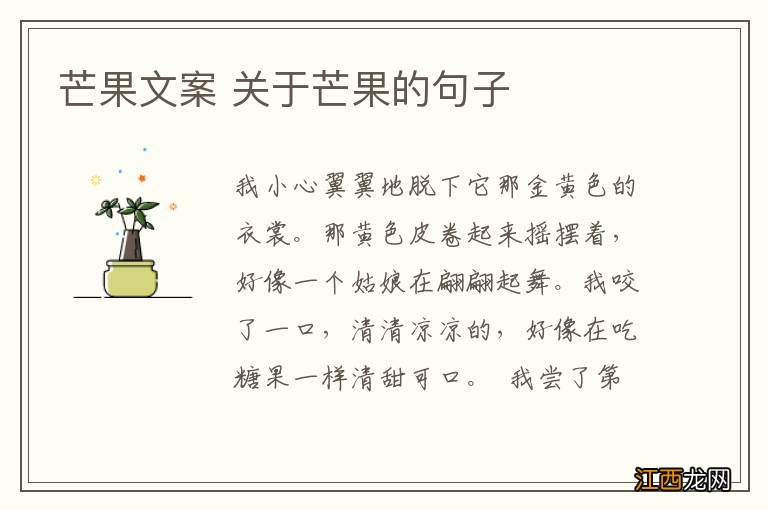 芒果文案 关于芒果的句子